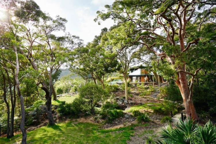 Australian bushland